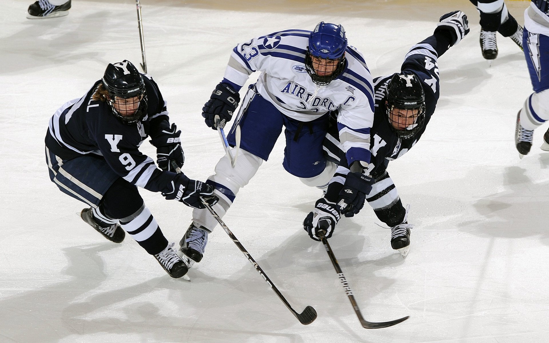 开云真人体育娱乐-【场地分析】不同场馆的特殊战术应用，场馆布局